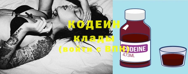 индика Надым