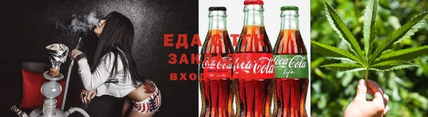 индика Надым