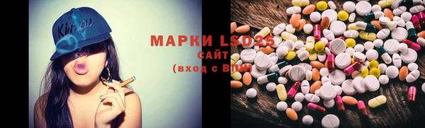 прущие грибы Михайлов