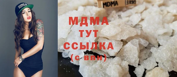 индика Надым