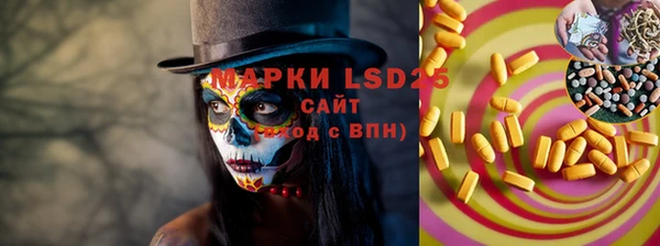 прущие грибы Михайлов