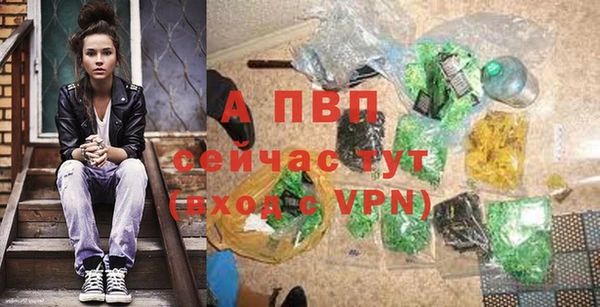 индика Надым