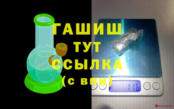 прущие грибы Михайлов