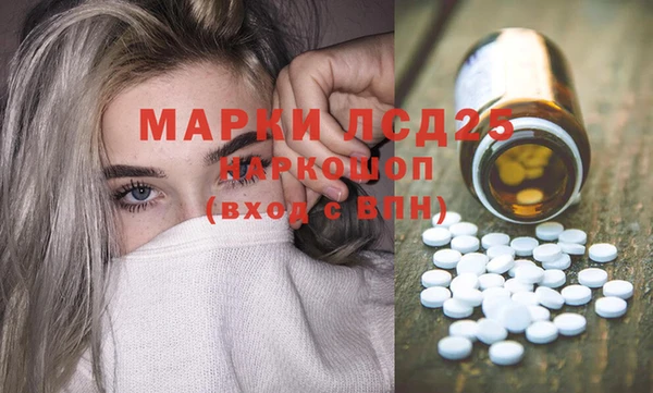 индика Надым