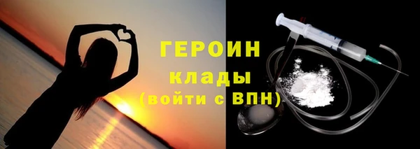 индика Надым