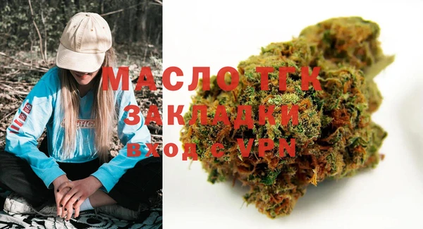 прущие грибы Михайлов