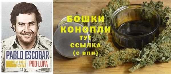 прущие грибы Михайлов