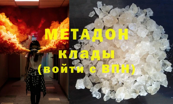 прущие грибы Михайлов
