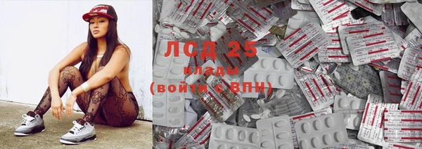 индика Надым