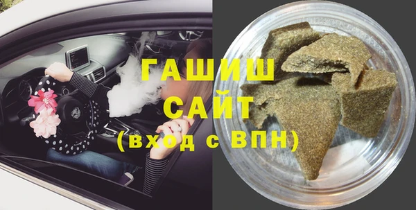 индика Надым