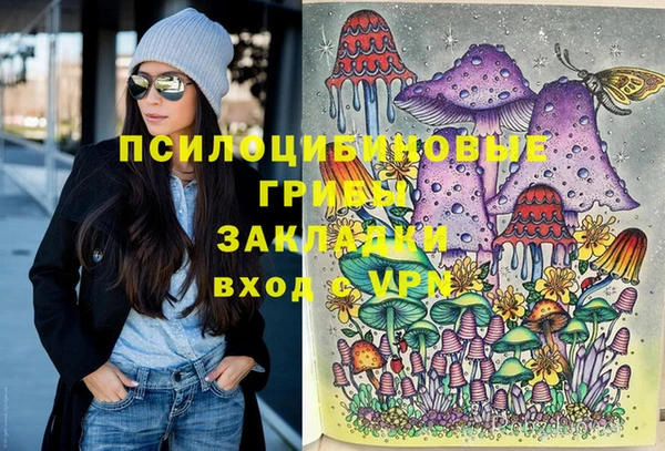 индика Надым