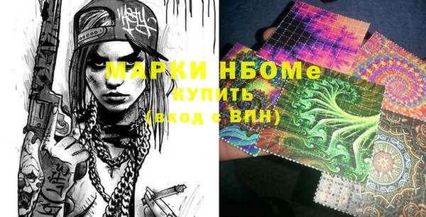 индика Надым