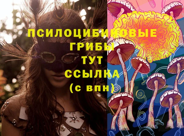 спайс Михайловск