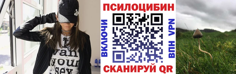 Псилоцибиновые грибы GOLDEN TEACHER  Невельск 