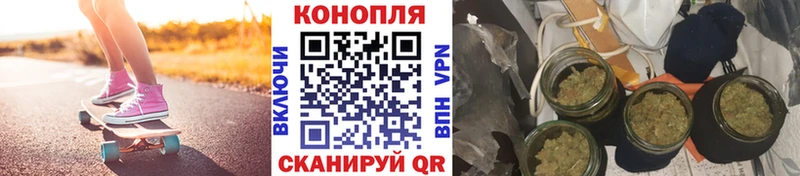 где продают   Невельск  Канабис семена 